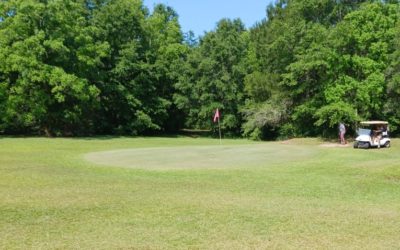 Game Improvement Series: Rea Schuessler - Set Up For Success! - Southern  Fairways